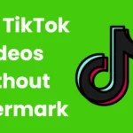 Save TikTok Videos Without Watermark